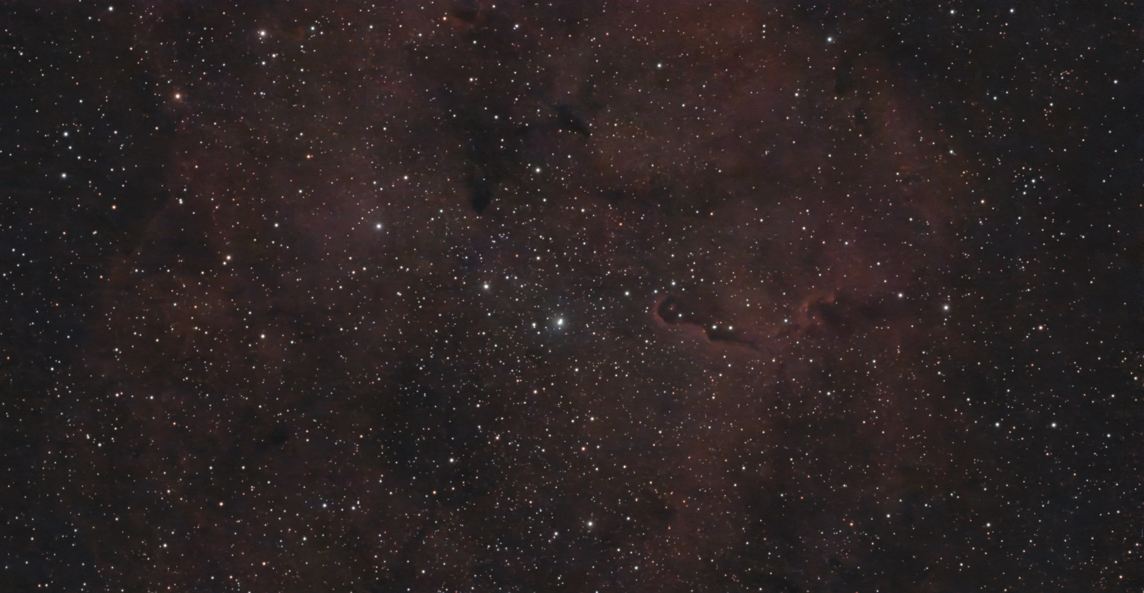 Twenty Light-Years of Trunk: First Light on IC 1396A
