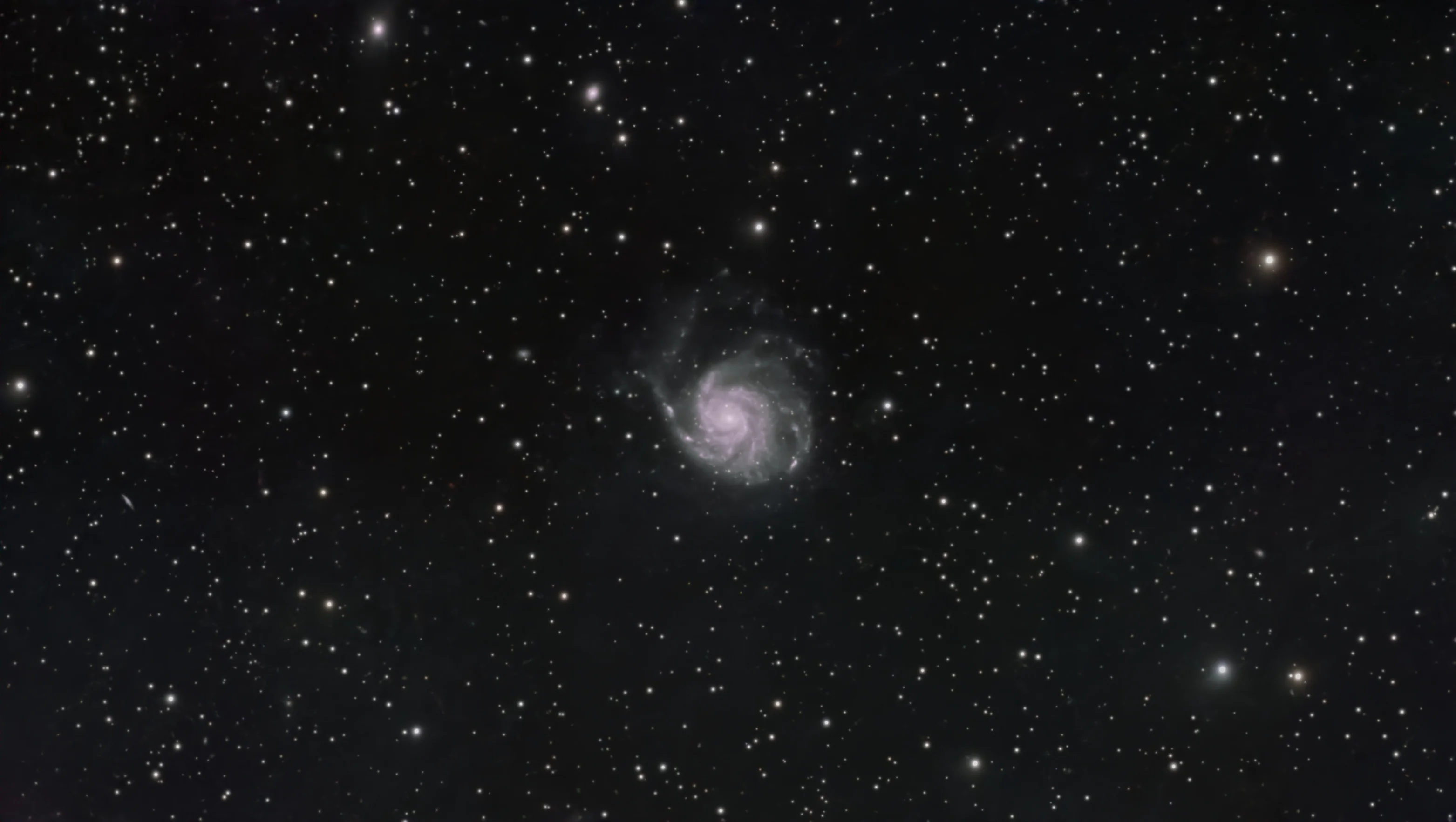 Two Supernovae and a Lopsided Disc: 9h 34m on M101