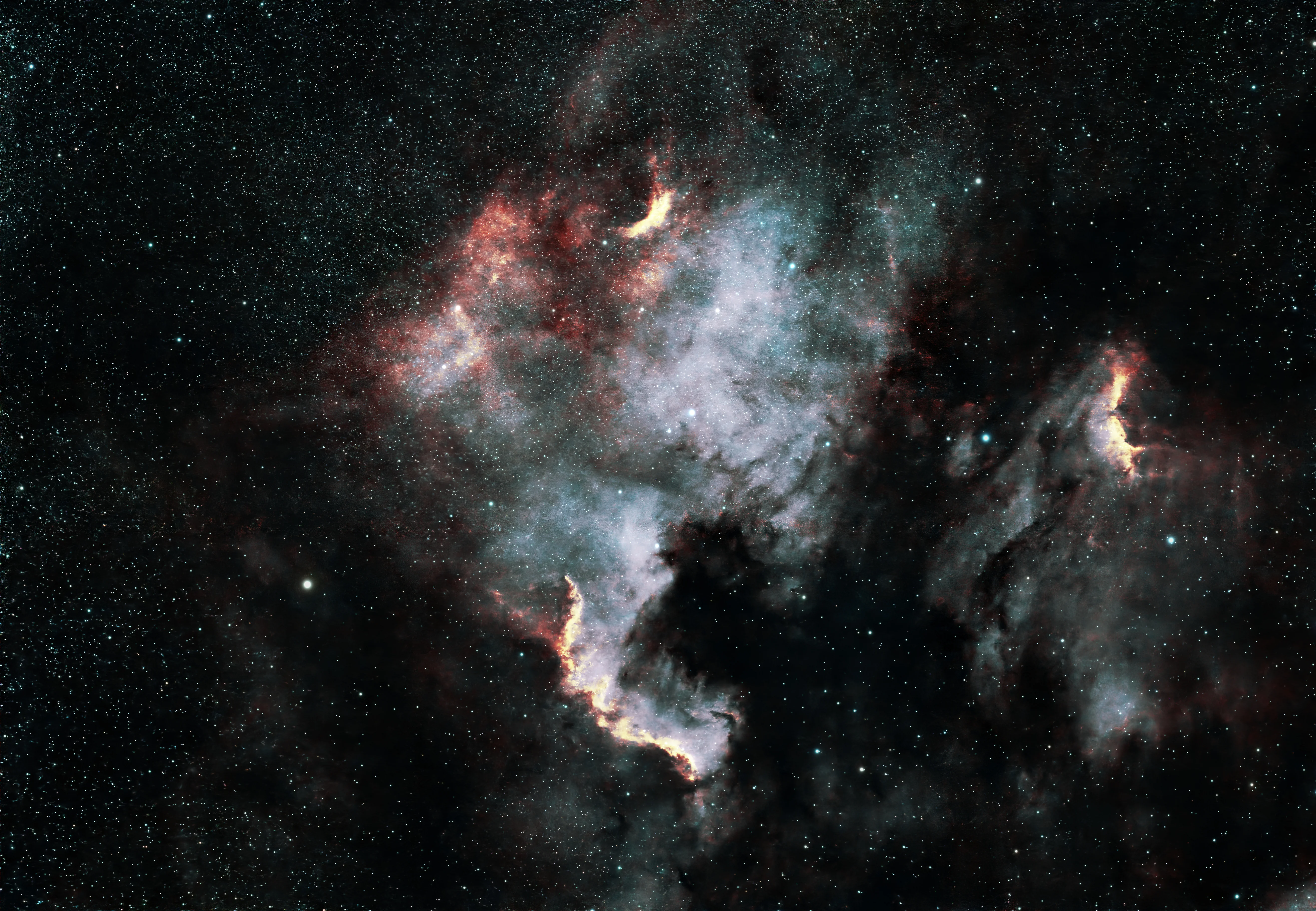 The North American Nebula, NGC 7000, and the Pelican Nebula, IC 5070, filling a wide Cygnus star field. A large pale silver-blue cloud of glowing gas in the shape of the North American continent occupies the centre and left, with a golden-orange ridge along its lower edge and a large dark bay of dust cut into it at lower right. Rust-red mottled gas spreads across the upper left, a wide dark lane runs down the right-hand side, and beyond it the Pelican's head and neck are edged in the same golden light. Thousands of small white and pale blue stars cover the whole frame.