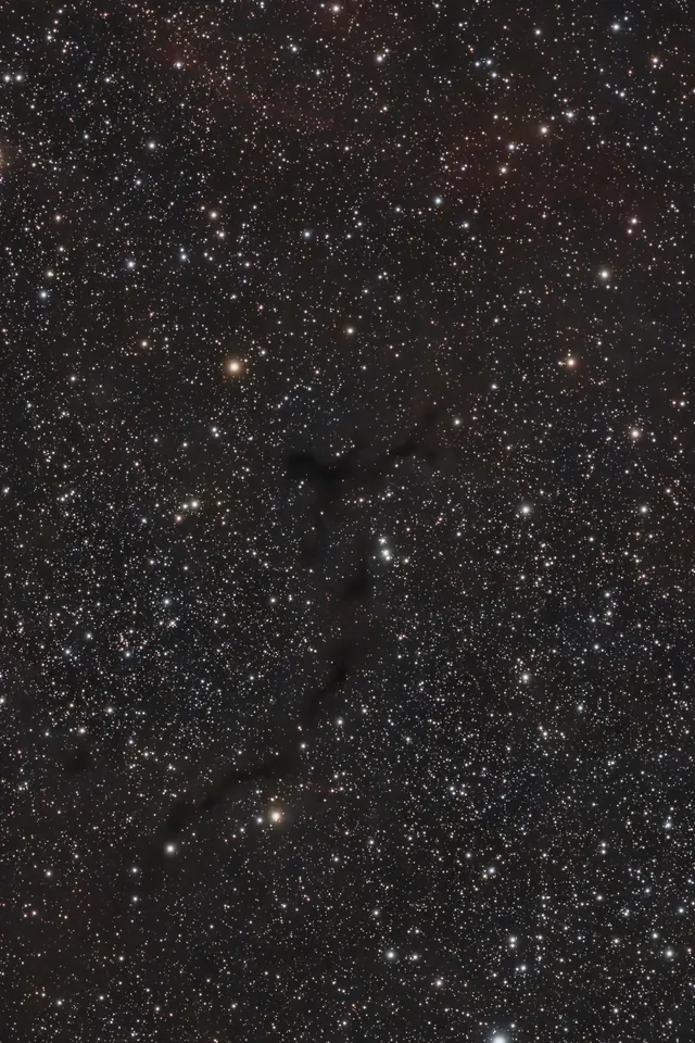 The Dark Seahorse Nebula (B150)