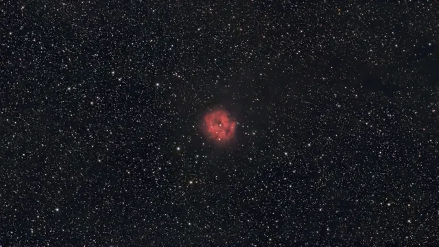 Cocoon Nebula (C19 / IC 5146 / Sh2-125), a nebula 3,300 light-years from Earth, photographed from Edinburgh with a Dwarf Mini smart telescope