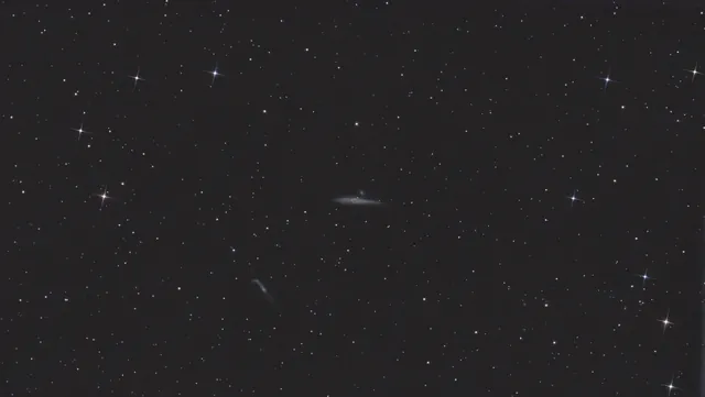 Whale Galaxy (C32)