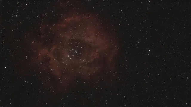 Rosette Nebula (C49)