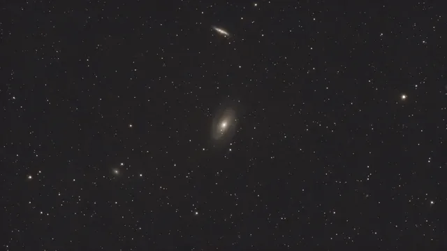 Bode's Galaxy (M81)