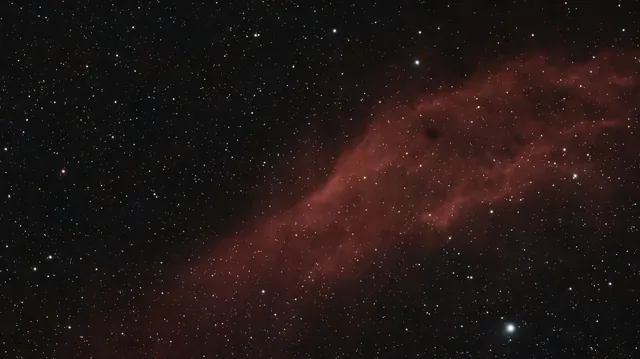 California Nebula (NGC 1499)